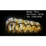 TPLO-500×500
